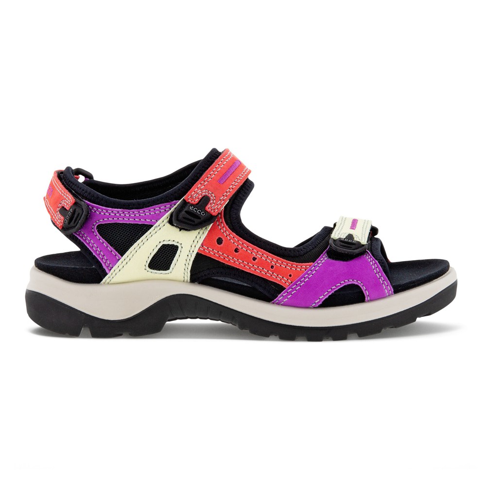 Sandalias Mujer - ECCO Offroad Flat - Multicolor - RNH739086